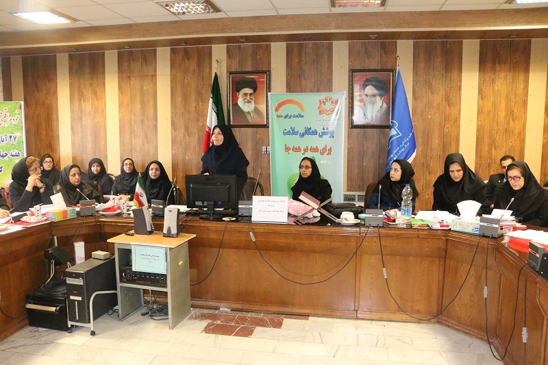 برگزاری کارگاه آموزشی ویزیت مراقبت های سلامت کودکان