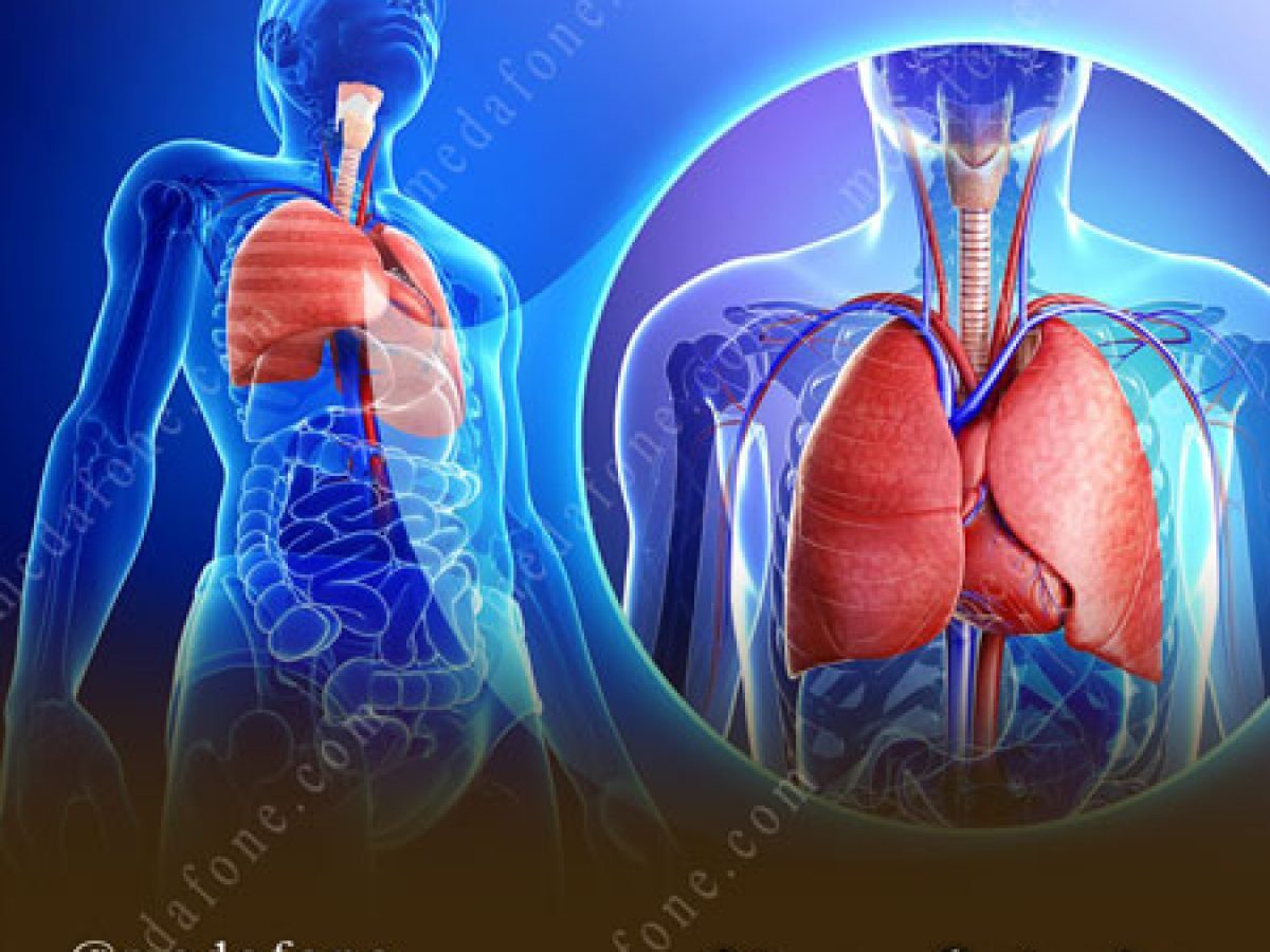 شروع به کار دکتر هاشم کریمی فوق تخصص جراحی توراکس در کلینیک تخصصی و فوق تخصصی امام رضا(ع)