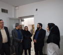 بررسی ساختار تشکیلاتی و تأمین نیروی انسانی برنامه پزشک خانواده در شهرستان محلات