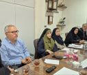 بررسی ساختار تشکیلاتی و تأمین نیروی انسانی برنامه پزشک خانواده در شهرستان محلات
