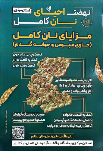 نان کامل؛ نانی برای سلامت و زندگی سالم‌تر