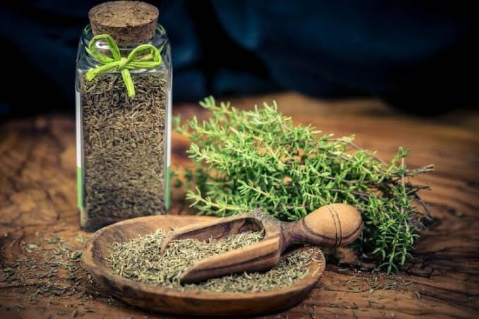 داروی گیاهی با گیاه دارویی فرق دارد؛ ضرورت توجه به محل عرضه
