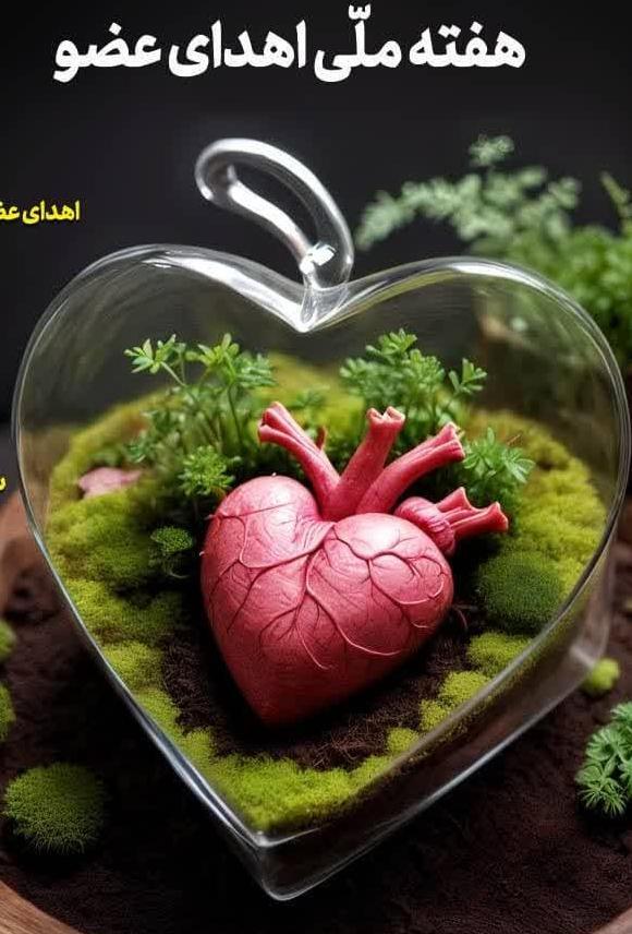 هفته ملی اهدای عضو