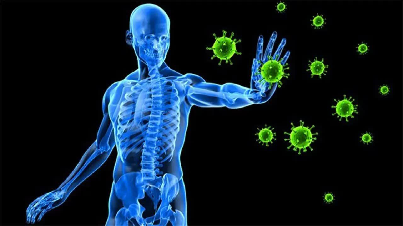 چرا تقویت سیستم ایمنی در فصول سرد اهمیت بیشتری دارد؟
