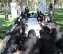 گامی برای تندرستی جسم و آرامش روان؛ همایش پیاده‌روی کارکنان معاونت بهداشت استان