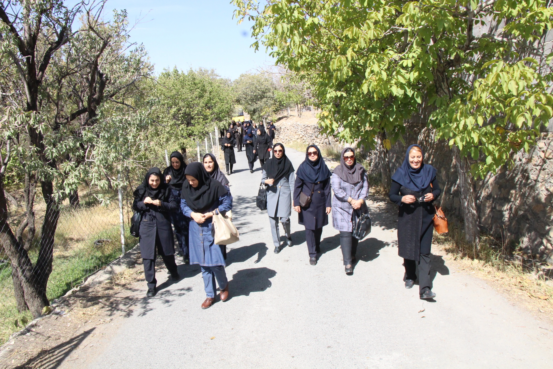پویش "سلامتی را قدم بزن"