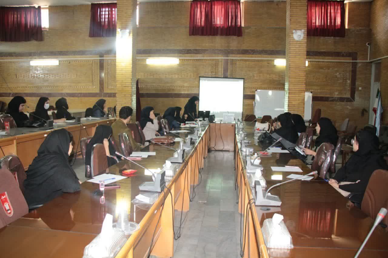 برگزاری کارگاه «چالش‌های مراقبت نوزادی» با محوریت ارتقای مهارت پزشکان مراکز جامع سلامت