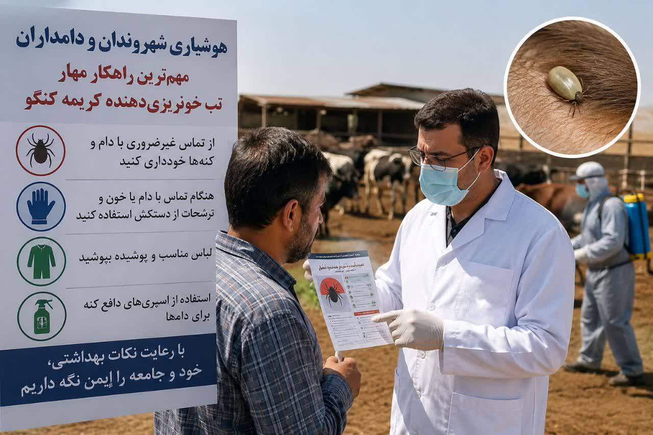 ۱۰ توصیه بهداشتی برای مهار تب خونریزی‌دهنده کریمه کنگو