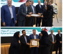 تقدیر از پرستاران و تقدی در دانشگاه علوم پزشکی اراک