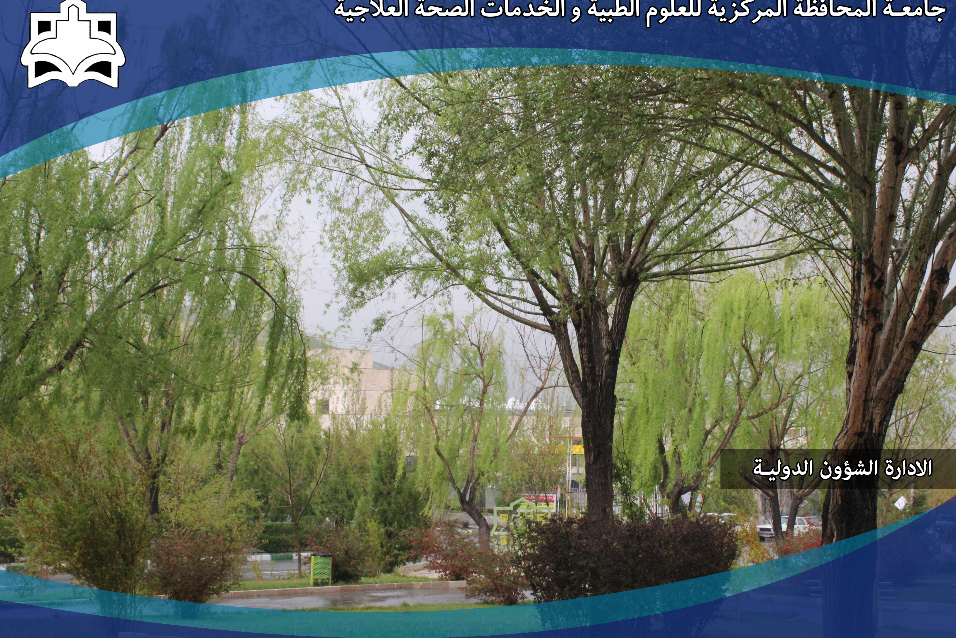 البوم الصور