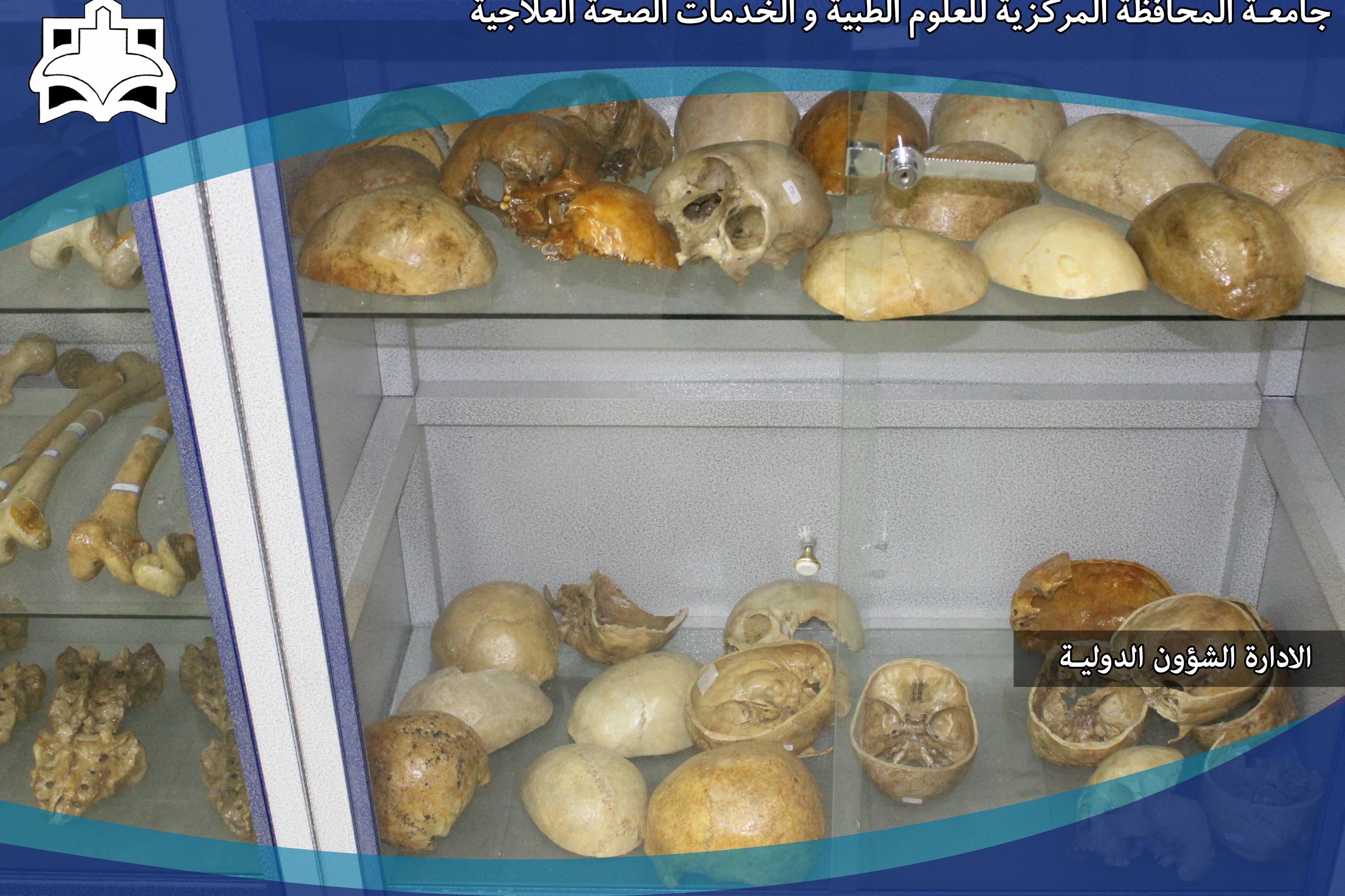 البوم الصور