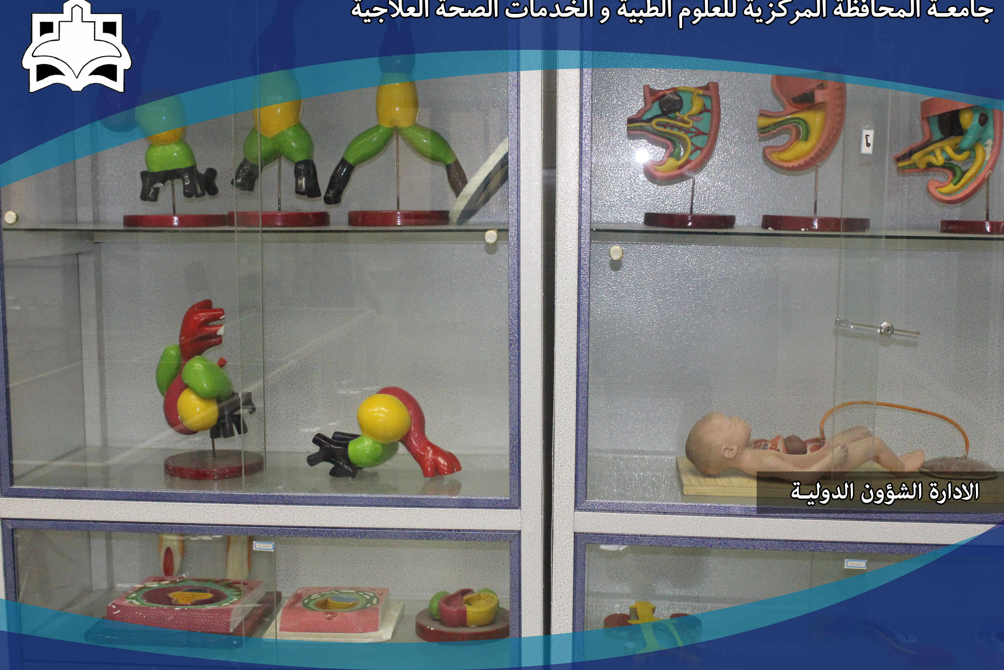 البوم الصور