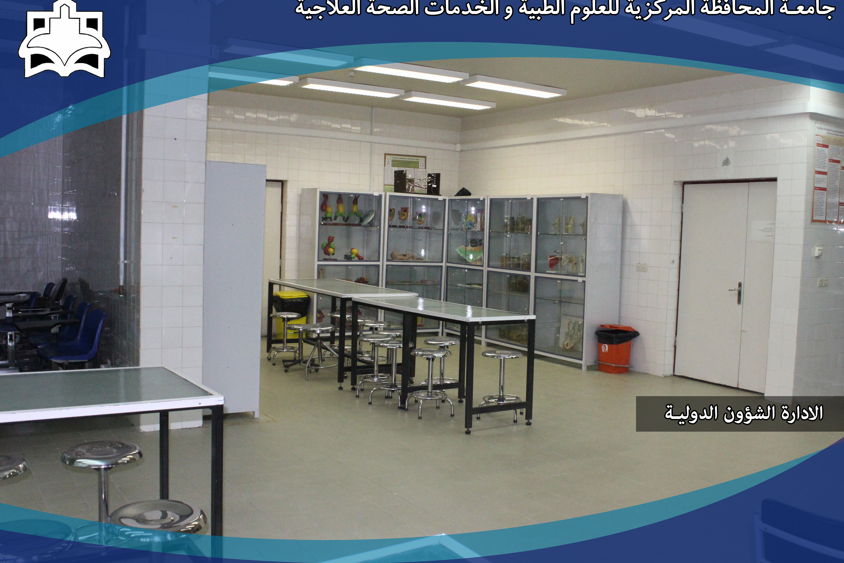 البوم الصور