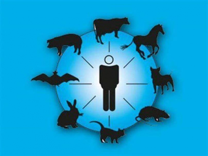 ۱۵ تیر ماه روز ملی مبارزه با بیماری های قابل انتقال بین انسان و حیوان