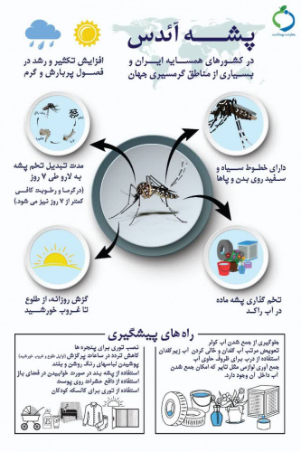 کلیات پشه آئدس