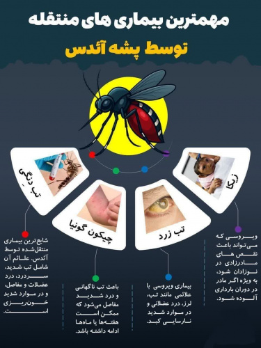 مهمترین بیماری های منتقله توسط پشه آئدس