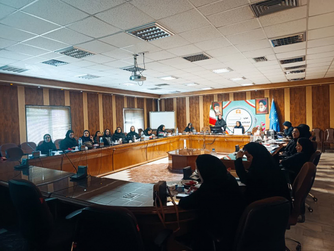 کارگاه مهارتهای عملی مراقبتهای سالمندان (ویژه مراقبین سلامت)