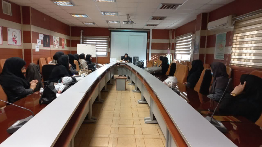 برگزاری کارگاه آموزشی مشکلات شایع شیردهی