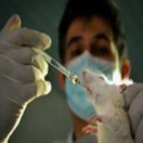 مرکز مطالعات تجربی و مقایسه ای