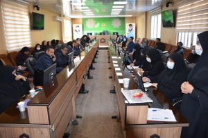 برگزاری جلسه آموزشی رابطین ارزیابی عملکرد کارکنان واحدهای دانشگاه علوم پزشکی اراک