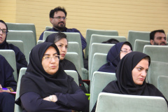 کارگاه آموزشی اعزام و انتقال بیماران بین مراکز درمانی دانشگاهها و دانشکده های علوم پزشکی کلان منطقه ۶ کشور