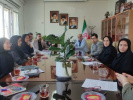 برگزاری جلسه بررسی مشکلات اعزام مادران دانشکده علوم پزشکی خمین
