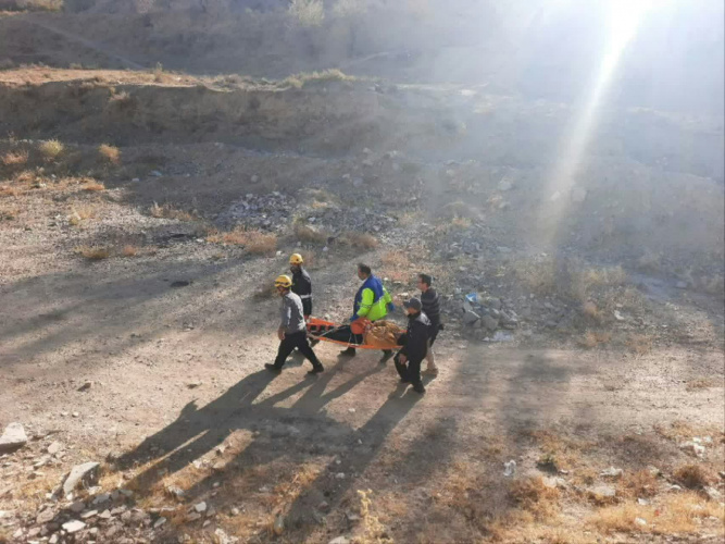 حمله گله سگ به مرد ۳۴ ساله در منطقه صعب‌العبور ضامنجان