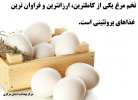 شعار روز جهانی تخم مرغ :مصرف تخم مرغ برای زندگی بهتر