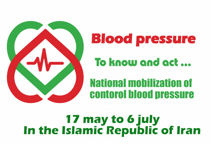 Designed and implemented high blood pressure control mobilization in Republic Islamic of Iran