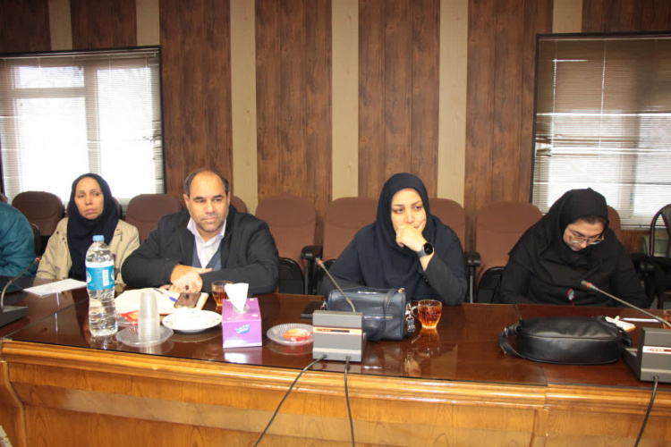 برگزاری جلسه پایش شاخص‌های برنامه‌های آموزش سلامت، تغذیه و آزمایشگاه در دانشگاه علوم پزشکی اراک