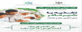هفته شیر مادر