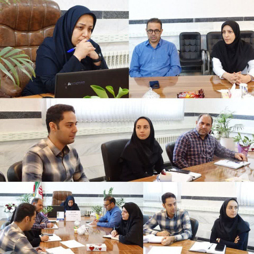 کمیته ژنتیک شهرستان خنداب؛ برنامه‌ریزی برای ارتقاء سلامت نسل آینده