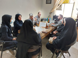 برگزاری جلسه هماهنگی غربالگری شنوایی نوزادان و غربالگری جسمی زنان سرپرست خانوار شهرستان کمیجان