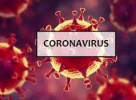 همه آنچه در مورد ویروس کرونا باید بدانیم