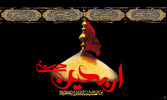 کاش امسال خدا رزق مرا بنویسد اربعین پای پیاده سفر کرببلا