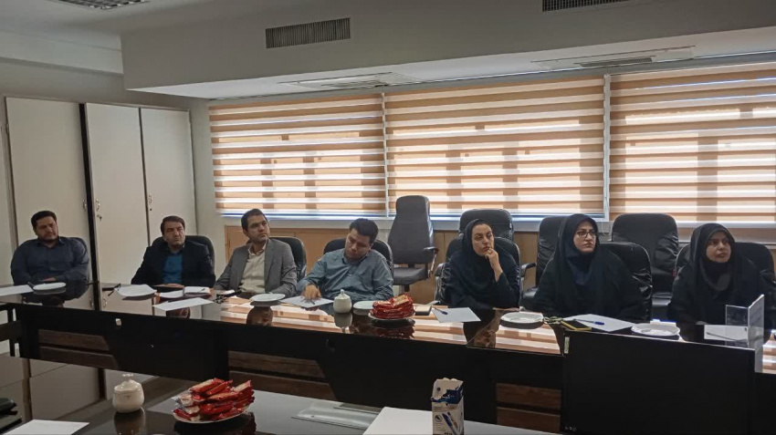 برگزاری کارگاه ایده پردازی تا نوآوری و تجاری سازی در حوزه سلامت