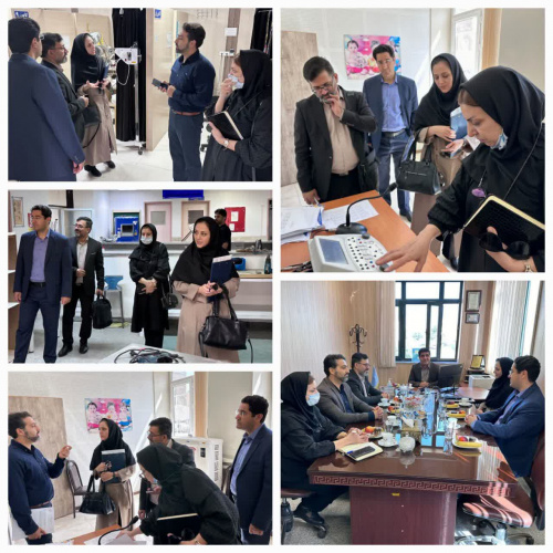 بازدید رئیس و معاونین آموزشی و پژوهشی دانشکده توانبخشی اراک از دانشکده توانبخشی دانشگاه علوم پزشکی همدان