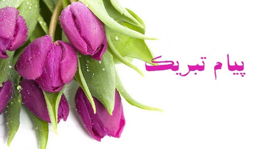 پیام تبریک ریاست و معاون آموزشی دانشکده توانبخشی به مناسبت روز جهانی کاردرمانی