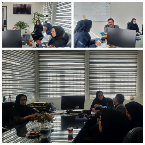 جلسه پیگیری و حمایت از بیماران صرع