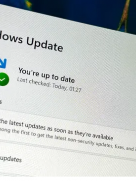 Unable to install security updates after freshly installing Windows 11? You're not alone