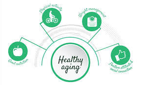 Is There a Cure for Aging?