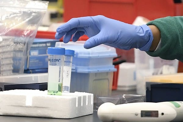 International Statistic of the Year: Race for a COVID-19 vaccine