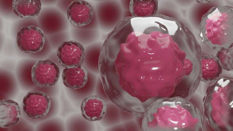 Personalizing cancer treatment through machine learning