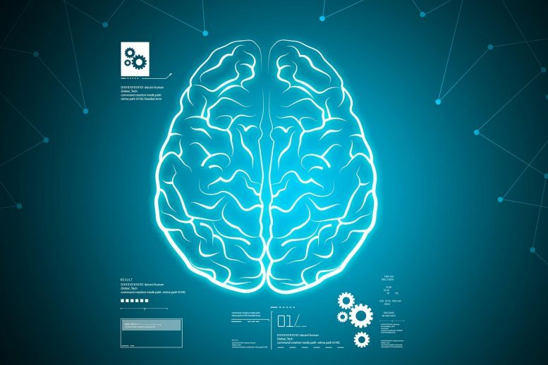 AI Accurately Predicts Brain Age From EEG Signals Recorded During Sleep Studies