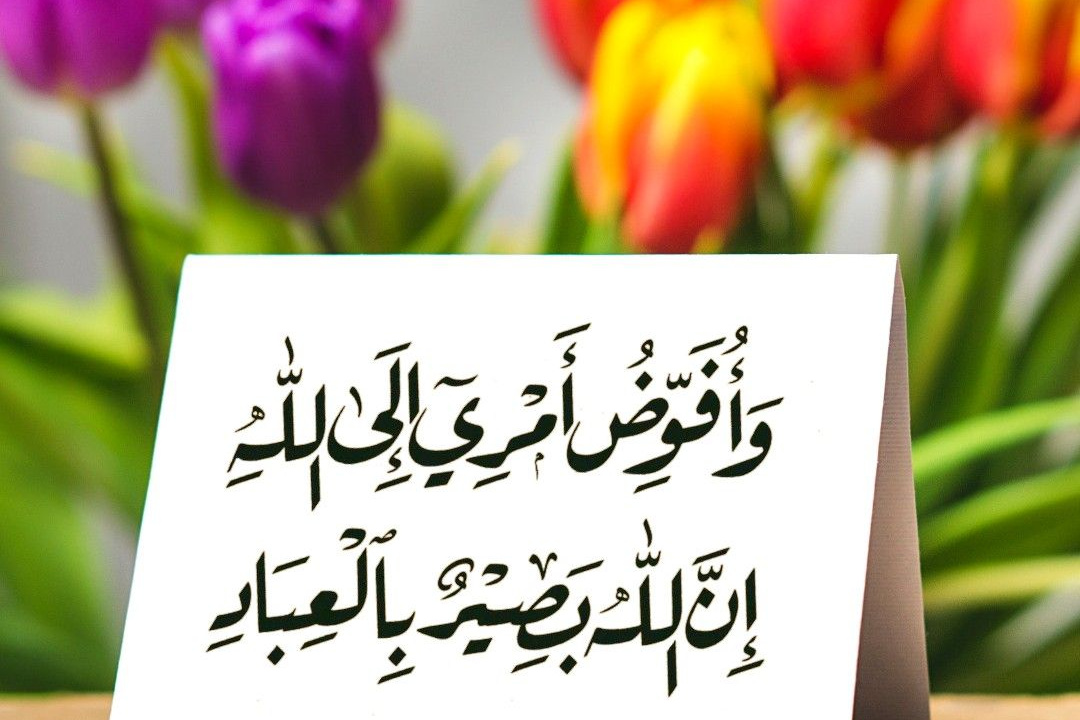 گالری ۱