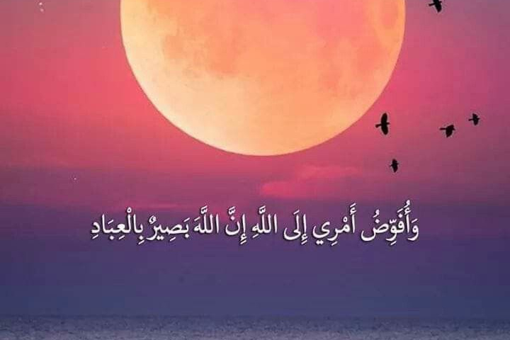 درج دسته جدید