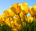عنوان خبر اسلایدی ۱