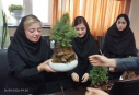 تجلیل از داروسازان ستاد معاونت غذا و دارو و مراکز درمانی اراک