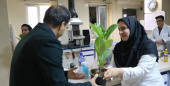 تقدیر از همکاران بانو معاونت غذا و دارو