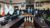 تجلیل از داروسازان ستاد معاونت غذا و دارو و مراکز درمانی اراک